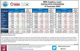 EPA Castilla y León DATOS POR PROVINCIA IIT 2020