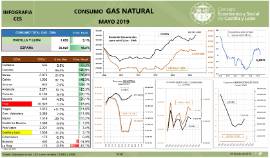 Infografía. Consumo Gas Natural [Mayo 2019]