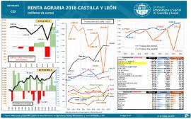 Renta Agraria Castilla y León [2018]