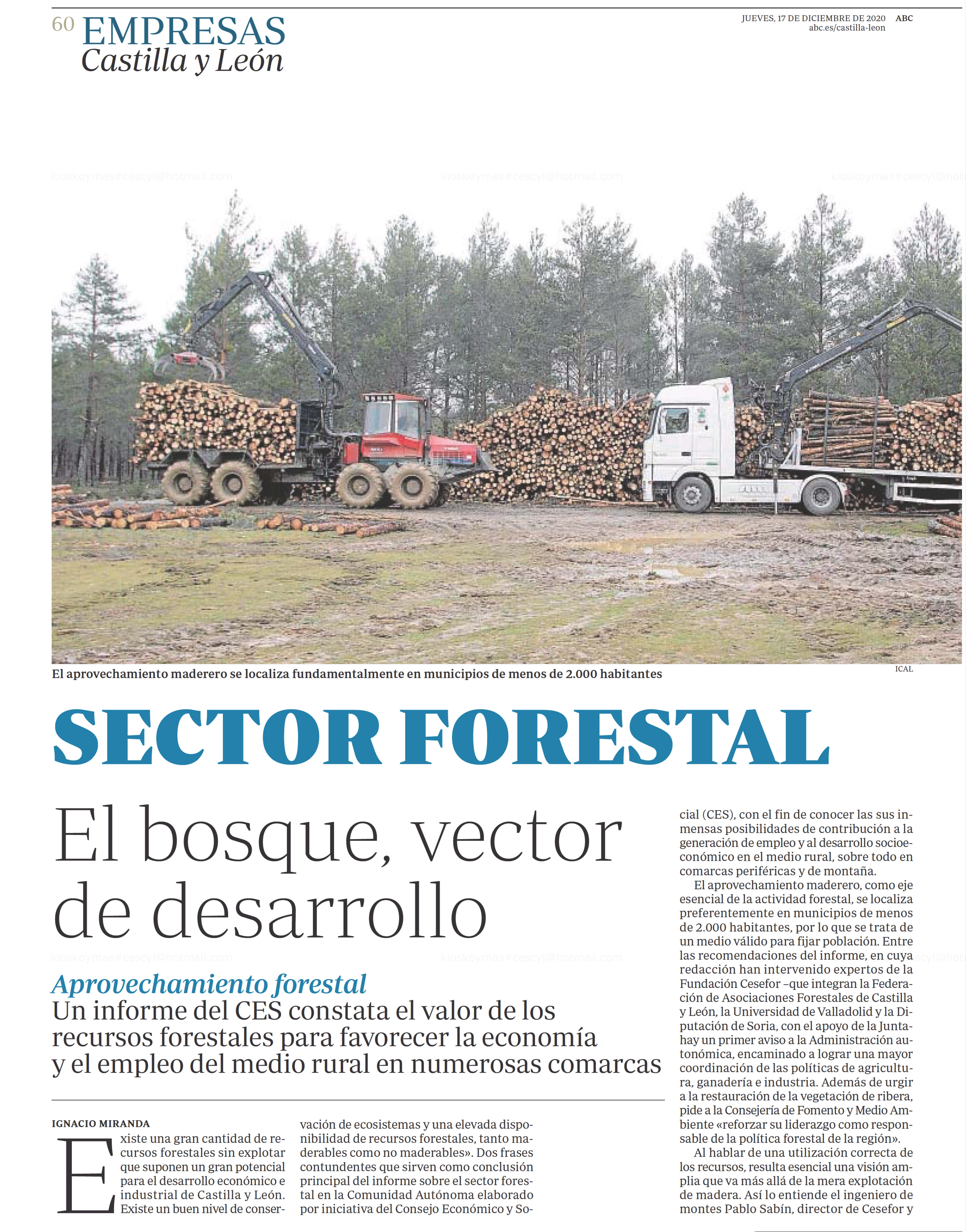 ABC sector forestal 1