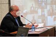 Pleno de aprobación del informe anual