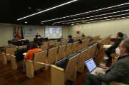Pleno informe sector forestal 3