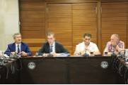 Pleno informe anual 2018