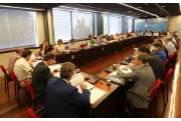 Pleno informe anual 2018