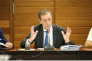 Pleno informe anual 2018