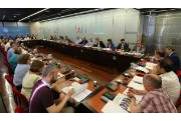 Pleno informe anual 2018