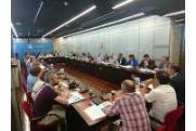 Pleno informe anual 2018