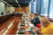 Pleno informe anual 2018