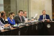 Pleno informe anual 2018