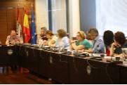 Pleno informe anual 2018
