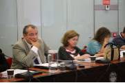 Pleno informe anual 2018
