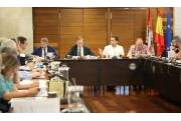 Pleno informe anual 2018