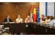 Pleno informe anual 2018