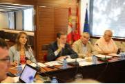 presidencia del Pleno de informe anual 2017