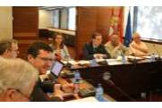 pleno de informe anual 2017