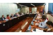 pleno de informe anual 2017