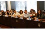 pleno de informe anual 2017