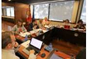 pleno de informe anual 2017