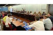Pleno de aprobación del Informe Anual 2016 el 29 de junio de 2017