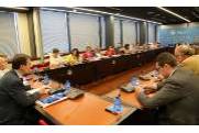 Pleno de aprobación del Informe Anual 2016 el 29 de junio de 2017