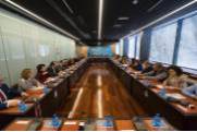 Pleno constituyente 2018