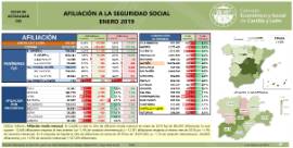 Afiliación [Enero 2019]