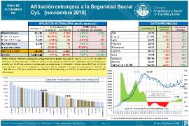 Afiliación extranjera [Noviembre 2018]