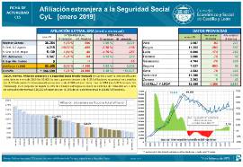 Afiliación extranjera a la S.S. CyL [Enero 2019]