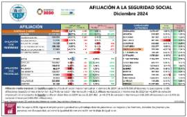 AFILIACIÓN A LA SEGURIDAD SOCIAL Diciembre 2024