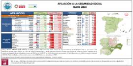 Afiliación a la Seguridad Social [mayo 2020]