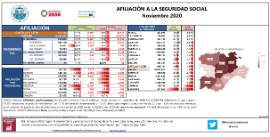 Afiliación a la Seguridad Social [noviembre 2020]