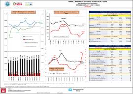 Becas y ayudas de estudios en CyL por administración financiadora Junta de CyL y Estado [2019/2020]