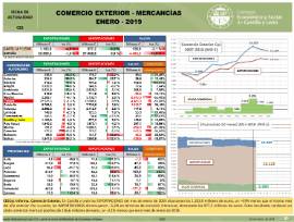 Comercio exterior [Enero 2019]