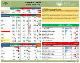 Comercio Exterior [Enero-Junio 2019]