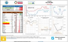 Consumo Gas natural [febrero 2021]