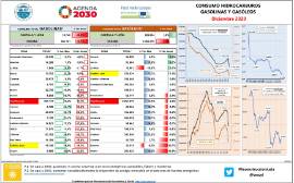 Consumo hidrocarburos, gasolinas y gasóleos [Diciembre 2020]