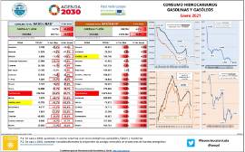 Consumo hidrocarburos, Gasolinas y gasóleos [Enero 2021]