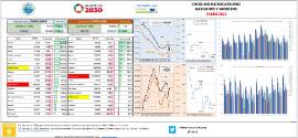 Consumo de Hidrocarburos, gasolinas y gasóleos [enero 2022]