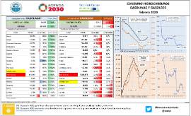 Consumo hidrocarburos gasolinas y gasóleos [febrero 2020]