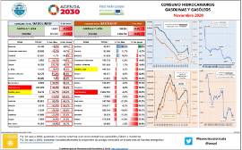Consumo hidrocarburos, gasolinas y gasóleos [noviembre 2020]