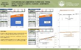 Coyuntura Alojamientos Turísticos. Total [Enero 2018]
