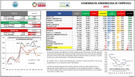 Demografía armonizada de empresas [2019]