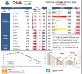 Directorio central de empresas. DIRCE [1-01-2021]