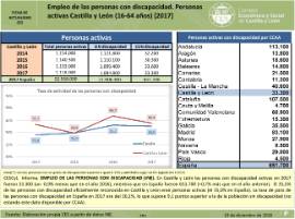 Empleo personas con discapacidad [2017]