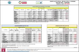 Energía eléctrica. Producción y consumo. Gas natural. Consumo. Castilla y León [2020]