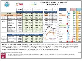 EPA Castilla y León ACTIVIDAD II Trimestre 2022