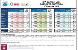 EPA Castilla y León DATOS POR PROVINCIA [I Trimestre 2020]