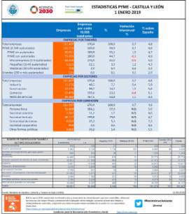 Estadística PYME- Castilla y León [1 enero 2019]
