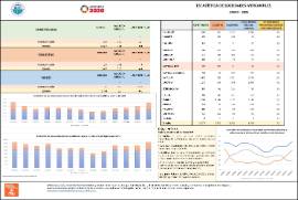 ESTADÍSTICA DE SOCIEDADES MERCANTILES ENERO - 2025