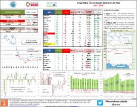 Estadística de Sociedades Mercantiles (SM) [julio - 2020]